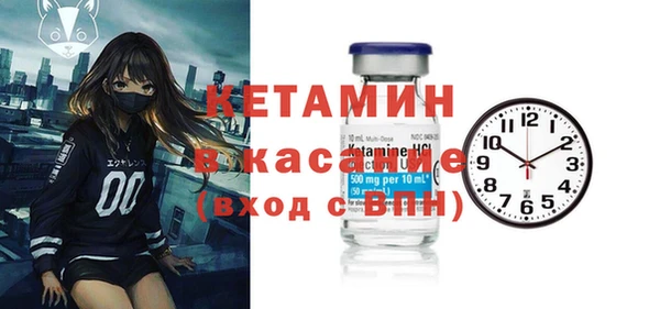 индика Абаза