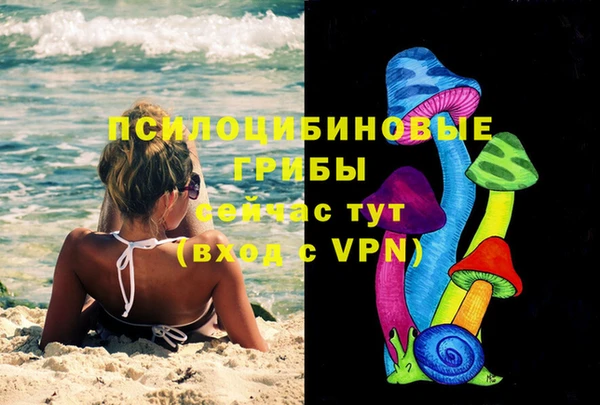 индика Абаза
