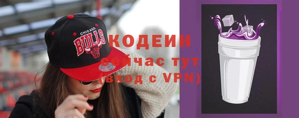 индика Абаза