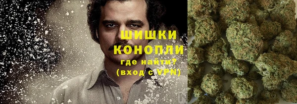 шишки Абдулино