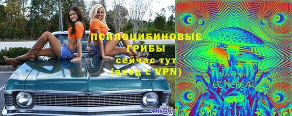 a pvp Алексин