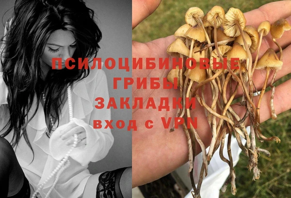 индика Абаза