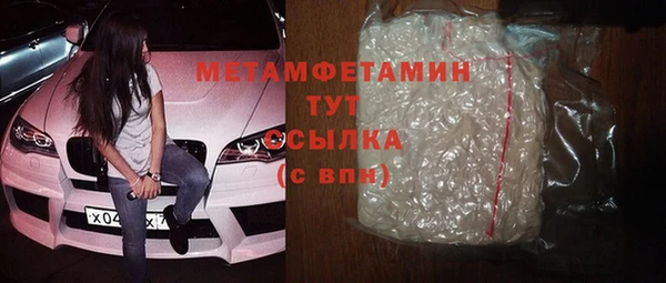 индика Абаза